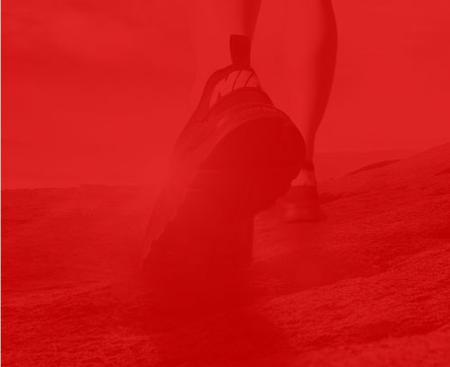 武清建站公司